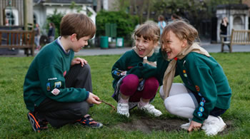Cub programme